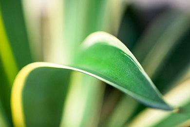 《帝国阵线》登陆Steam 柴油朋克背景复古风战棋新游